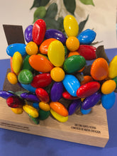 Cargar imagen en el visor de la galería, Margaritas arcoiris - Flores de chocolate