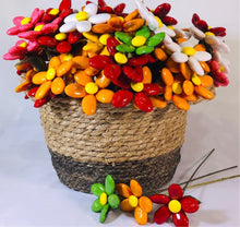 Cargar imagen en el visor de la galería, Margaritas 1 color - Flores de chocolate