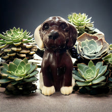 Cargar imagen en el visor de la galería, Perro de chocolate