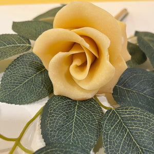 Rosa de chocolate blanco. Flores de chocolate