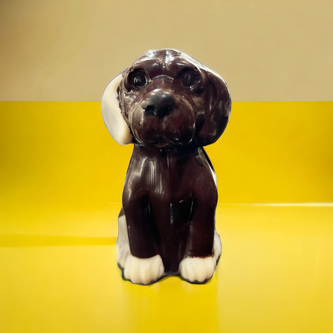 Perro de chocolate