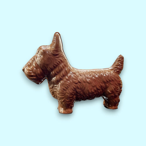 Perro escoces